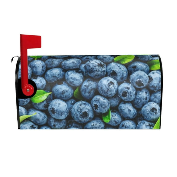 Naloa Fresh Blueberries Mailbox Covers Magnetic Post Box Cover Post Letter Box Cover Garden Decor-21x18 in
