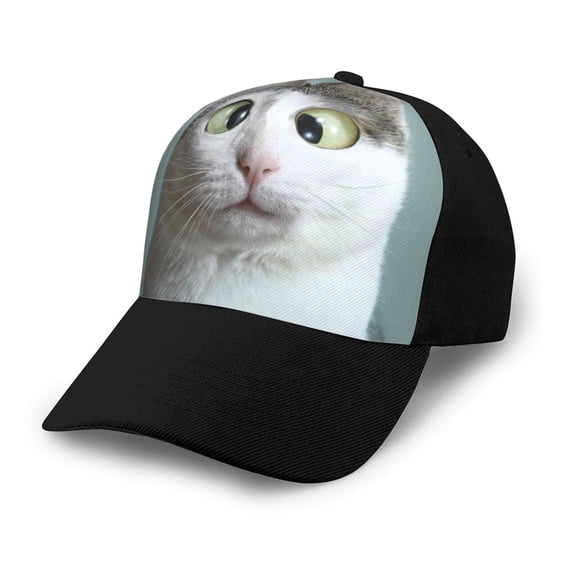Naloa Funny Cat Adult adjustable Print Baseball Hat, Patchwork curved brim baseball capfor Men and Women, One Size