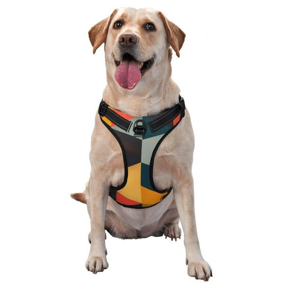 Naloa Geometric Cube Pattern Art Dog Harness, Pet Harness Vest with Traction Rope, Dog Vest for Outdoor, Walking - {sizeName}-Large
