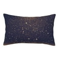 thumbnail image 1 of Naloa Gold Black Glitter Pillowcase, Throw Pillowcase, Wrinkle-Free, Stain-Resistant with Hidden Zipper for Bedroom Sofa - 14"x20", 1 of 9