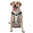 thumbnail image 1 of Naloa Japanese White Cranes Pet Harness Vest with Traction Rope, Adjustable No-Choke Dog Vest for Outdoor, Walking - Large, 1 of 4