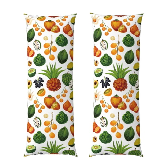 Naloa Lemon Fruits Vegetables Super Soft 20x60 Body Pillow Case,Long Side Hidden Zipper(PILLOWS ARE NOT INCLUDED)
