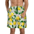 thumbnail image 1 of Naloa Lemon Seamless Pattern Oil Painting Effect Men's Beach Shorts, Surfing shorts, Swim trunks, Quick Dry Swim Trunks for Surfing Beach Fun - 3X-Large, 1 of 9
