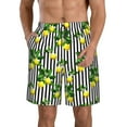 thumbnail image 1 of Naloa Lemons on Striped Men's Beach Shorts, Surfing shorts, Swim trunks, Quick Dry Swim Trunks for Surfing Beach Fun - 3X-Large, 1 of 9