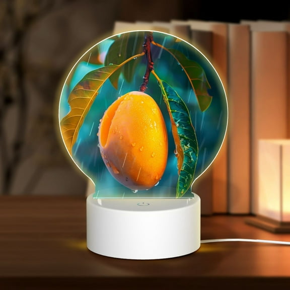 Naloa Mango In The Rain Acrylic LED Night Light Custom LED Lights Personalized Nightlight Customized Gifts for Family Couples Friends
