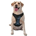 thumbnail image 1 of Naloa Navy Camouflage American Flag Pet Harness Vest with Traction Rope, Adjustable No-Choke Dog Vest for Outdoor, Walking - X-Large, 1 of 4