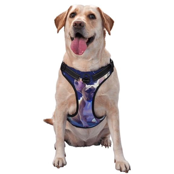 Naloa Night Sky Winged French Bulldog Pet Harness Vest with Traction Rope, Adjustable No-Choke Dog Vest for Outdoor, Walking - Large