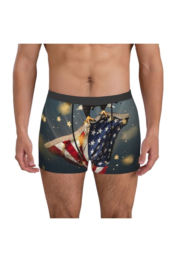 North American Bald Eagle1 Mens Underwear - Boxers for Men, Mens Boxer Briefs, Classic Briefs for Men-Small