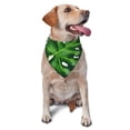 thumbnail image 1 of Naloa Palm Greenery Dog Bandanas 1PC Washable Triangle Dog Scarfs Premium Durable Fabric, for Small Medium Large Dogs and Cats, 1 of 6