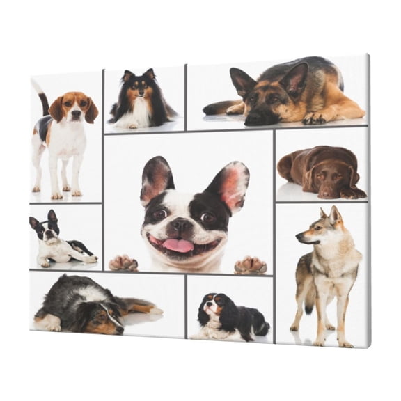 Naloa Pedigree dogs collage Print Canvas Picture,Wall Pictures, Modern Decorative Poster,Art Prints for Bedroom, Toilet, 40 x 30 cm, Built-in Wooden Frame
