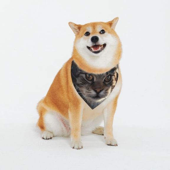 Naloa Pilot Cat In Vintage Plane Dog Bandana Custom Dog Scarf Breathable Puppy Kerchief with Adjustable Bandana Bib for Dog and Cat-XX-Large