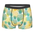 thumbnail image 1 of Naloa Pineapples1 Print Mens Underwear - Boxers for Men, Classic Briefs for Men, 1 of 9