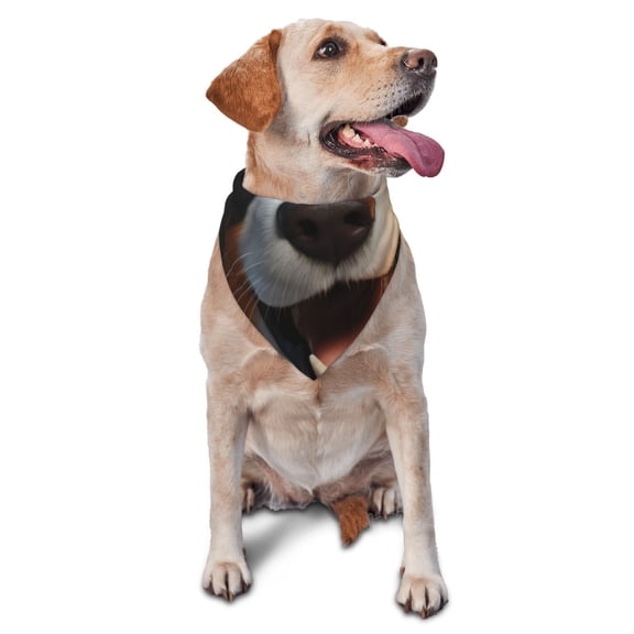 Naloa Playful Smile Cute Dog Dog Bandanas 1PC Washable Triangle Dog Scarfs Premium Durable Fabric, for Small Medium Large Dogs and Cats