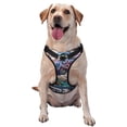 thumbnail image 1 of Naloa Psychedelic Shark Artwork Dog Harness, Pet Harness Vest with Traction Rope, Dog Vest for Outdoor, Walking - {sizeName}-Small, 1 of 6