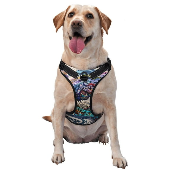 Naloa Psychedelic Shark Artwork Dog Harness, Pet Harness Vest with Traction Rope, Dog Vest for Outdoor, Walking - {sizeName}-Small