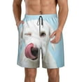 thumbnail image 1 of Naloa Puppy Licks Nose Men's Beach Shorts, Surfing shorts, Swim trunks, Quick Dry Swim Trunks for Surfing Beach Fun - 3X-Large, 1 of 9