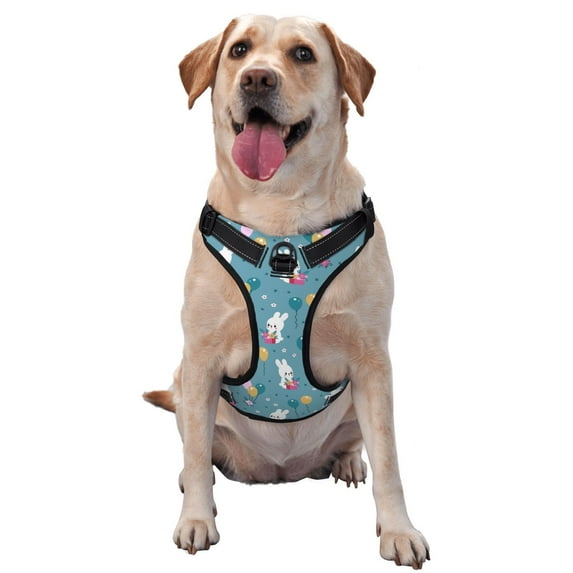Naloa Rabbit And Balloon Pet Harness Vest with Traction Rope, Adjustable No-Choke Dog Vest for Outdoor, Walking - Large