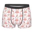 thumbnail image 1 of Naloa Rabbit Is And Carrots Print Mens Underwear - Boxers for Men, Classic Briefs for Men, 1 of 9