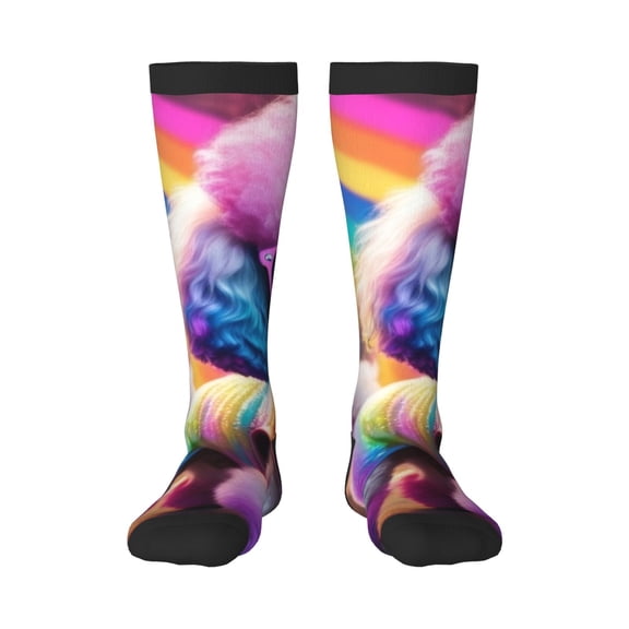 Naloa Rainbow Poodle Urban Street Knee Socks, High Socks Long Stretchy Sock Women Knee High Stocking, Long Socks for Women
