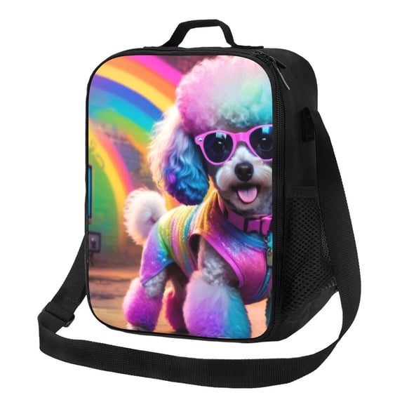 Naloa Rainbow Poodle Urban Street Lunch box Lunch bag for men women Large capacity Lunchbox Insulated Lunch bag Lunch box cooler