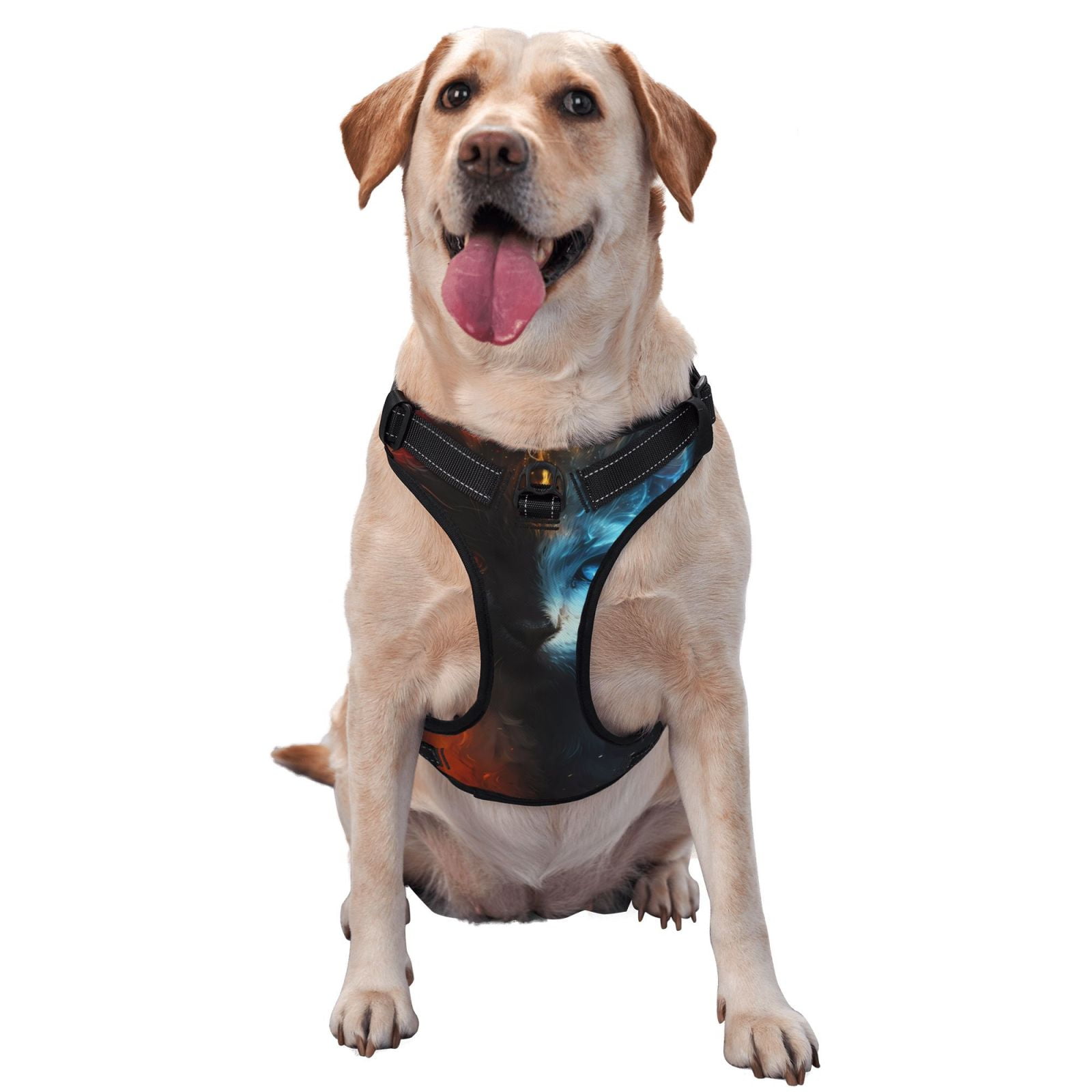 Naloa Red And Blue Fire Cat Pet Harness Vest with Traction Rope, Adjustable No-Choke Dog Vest for Outdoor, Walking - X-Large