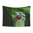thumbnail image 1 of Naloa Red-Eyed Tree Frog Dog Blanket, 3 Sizes Cat Blanket for Indoor Cats Large Medium Small Dog Gifts-Medium, 1 of 8