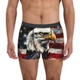 thumbnail image 1 of Naloa Retro American Eagle A Mens Underwear - Boxers for Men, Mens Boxer Briefs, Classic Briefs for Men-Large, 1 of 5