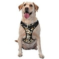 thumbnail image 1 of Naloa Retro Hydrangeas Pet Harness Vest with Traction Rope, Adjustable No-Choke Dog Vest for Outdoor, Walking - Small, 1 of 4
