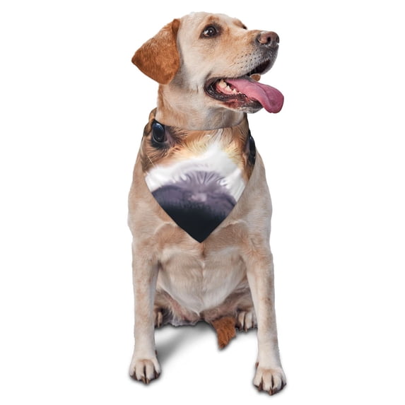 Naloa Sea Swimming Corgi Dog Bandanas 1PC Washable Triangle Dog Scarfs Premium Durable Fabric, for Small Medium Large Dogs and Cats