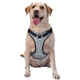 thumbnail image 1 of Naloa Sleep Rabbit Pet Harness Vest with Traction Rope, Adjustable No-Choke Dog Vest for Outdoor, Walking - Large, 1 of 4