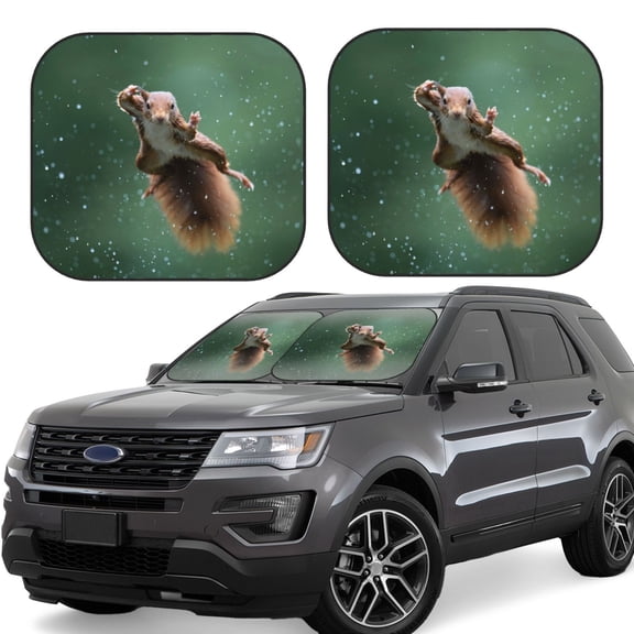 Naloa Squirrel Print 2-Piece Windshield Sunshade,Foldable Car Front Window Sun Shades,for Most Sedans SUV Truck-Large