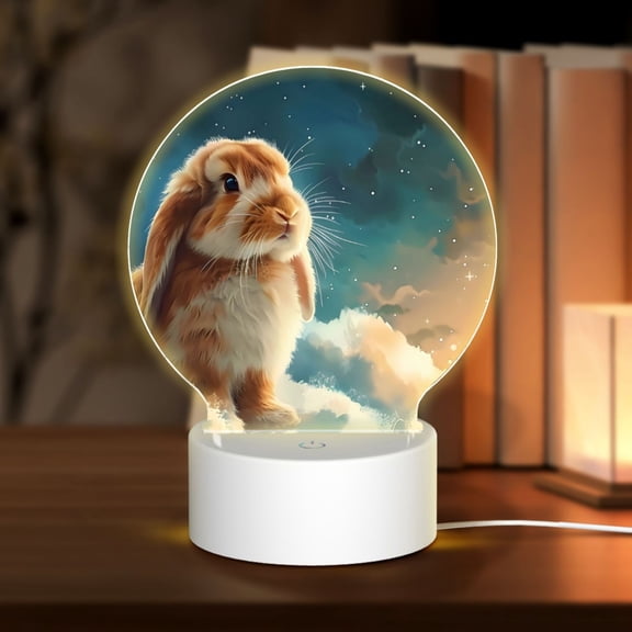 Naloa Starry Sky Cloud Cute Rabbit Acrylic LED Night Light Custom LED Lights Personalized Nightlight Customized Gifts for Family Couples Friends