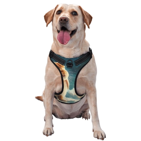 Naloa Starry Sky Cloud Cute Rabbit Pet Harness Vest with Traction Rope, Adjustable No-Choke Dog Vest for Outdoor, Walking - Medium