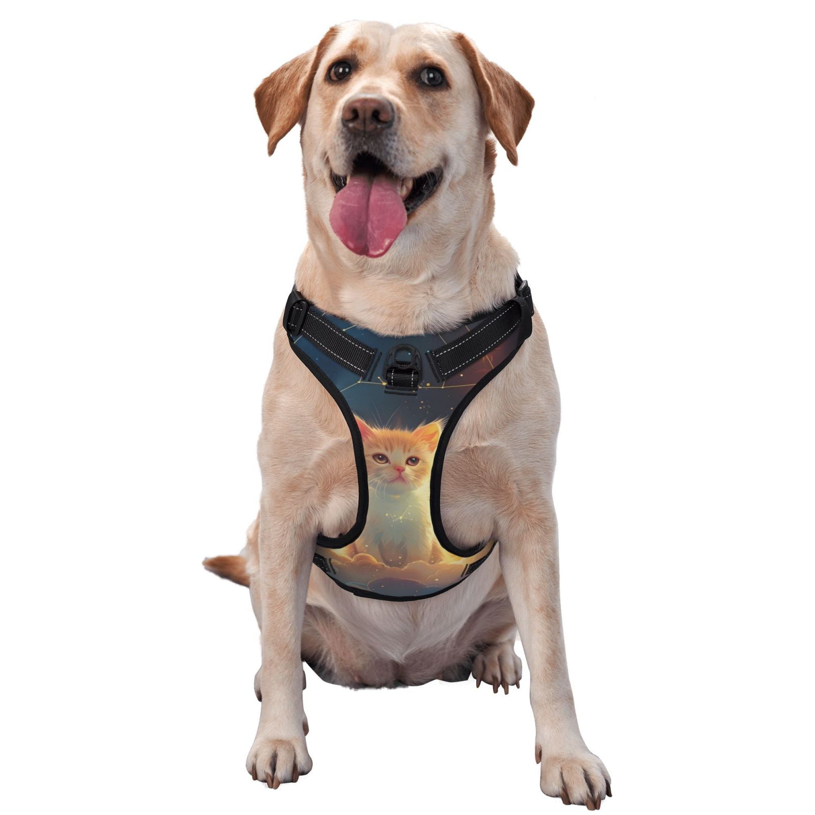 Naloa Starry Sky Constellation Cat Pet Harness Vest with Traction Rope, Adjustable No-Choke Dog Vest for Outdoor, Walking - Medium