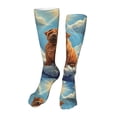 thumbnail image 1 of Naloa Sunshine Cloud Bulldog High Stockings Women Thigh High Stockings Over Knee Long Stockings-One Size, 1 of 8