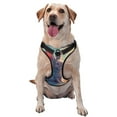 thumbnail image 1 of Naloa Sunshine Winged Rabbit Pet Harness Vest with Traction Rope, Adjustable No-Choke Dog Vest for Outdoor, Walking - Small, 1 of 4
