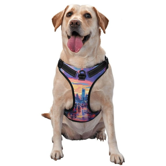 Naloa Taxi Colorful Town Pet Harness Vest with Traction Rope, Adjustable No-Choke Dog Vest for Outdoor, Walking - X-Large