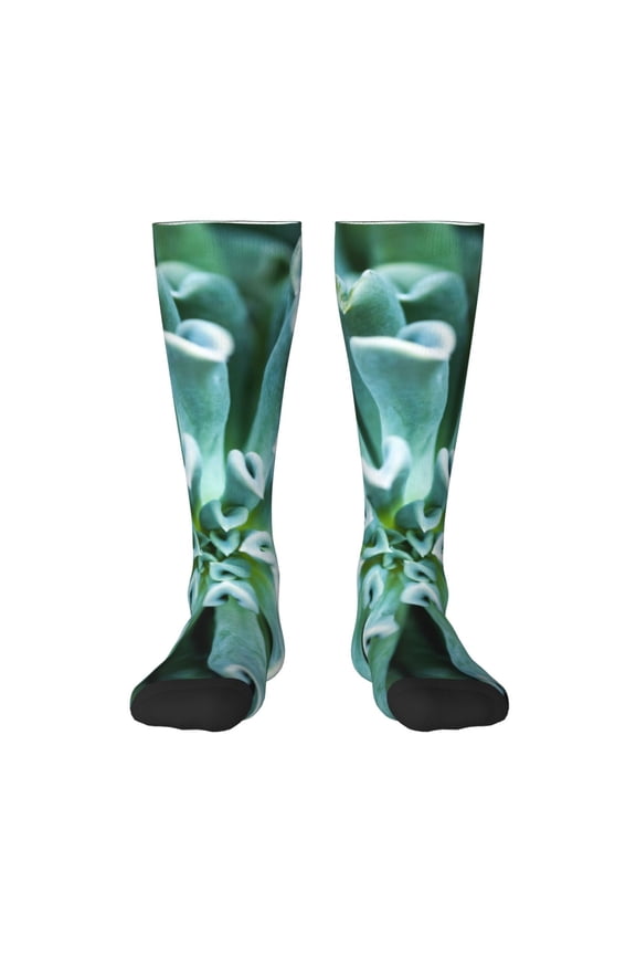 Teal Cactus Knee Socks, High Socks Long Stretchy Sock Women Knee High Stocking, Long Socks for Women