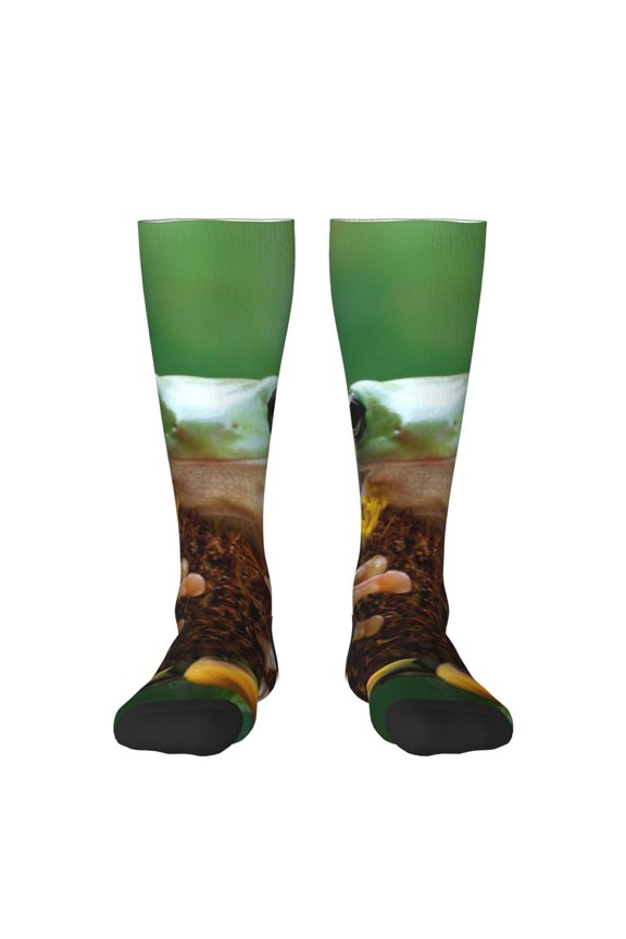 Tree Frog Sitting On Sunflowes Knee Socks, High Socks Long Stretchy Sock Women Knee High Stocking, Long Socks for Women