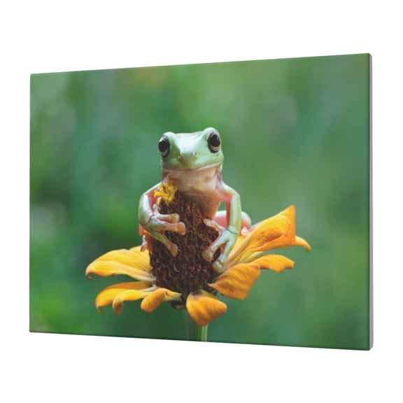 Naloa Tree Frog Sitting On Sunflowes Print Canvas Picture,Wall Pictures, Modern Decorative Poster,Art Prints for Bedroom, Toilet, 40 x 30 cm, Built-in Wooden Frame