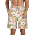 thumbnail image 1 of Naloa Tropical Flamingo Pineapple Men's Beach Shorts, Surfing shorts, Swim trunks, Quick Dry Swim Trunks for Surfing Beach Fun - X-Large, 1 of 9