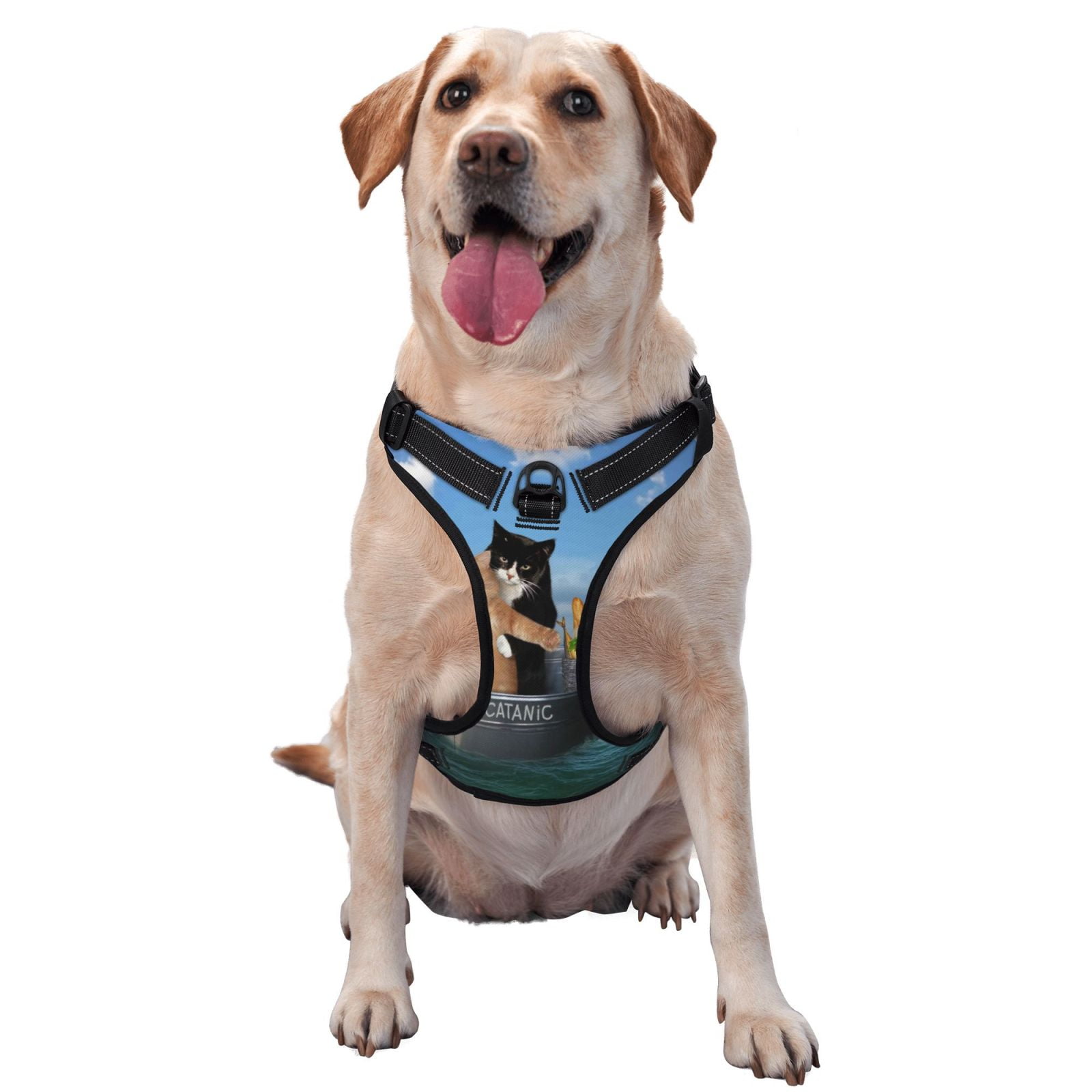 Naloa Two Brave Cats Are Floating On The Sea Iceberg Pet Harness Vest with Traction Rope, Adjustable No-Choke Dog Vest for Outdoor, Walking - Small