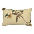 thumbnail image 1 of Naloa Vintage Bird Pillowcase, Throw Pillowcase, Wrinkle-Free, Stain-Resistant with Hidden Zipper for Bedroom Sofa - 20"x30", 1 of 9