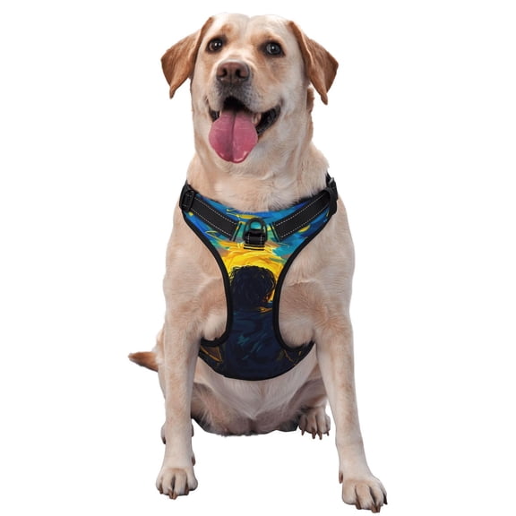 Naloa Vintage Winged Rose Skull Pet Harness Vest with Traction Rope, Adjustable No-Choke Dog Vest for Outdoor, Walking - Medium
