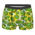 thumbnail image 1 of Naloa Watercolor Kiwi Fruits Summer Print Mens Underwear - Boxers for Men, Classic Briefs for Men, 1 of 9