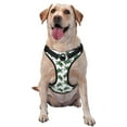 thumbnail image 1 of Naloa Watercolor Turtle Pet Harness Vest with Traction Rope, Adjustable No-Choke Dog Vest for Outdoor, Walking - Large, 1 of 4