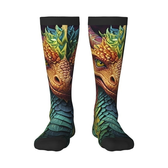 Naloa Whimsical Dragon Color Cool Knee Socks, High Socks Long Stretchy Sock Women Knee High Stocking, Long Socks for Women