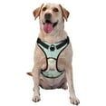 thumbnail image 1 of Naloa White Bunny Bottom And Easter Eggs Pet Harness Vest with Traction Rope, Adjustable No-Choke Dog Vest for Outdoor, Walking - Large, 1 of 4