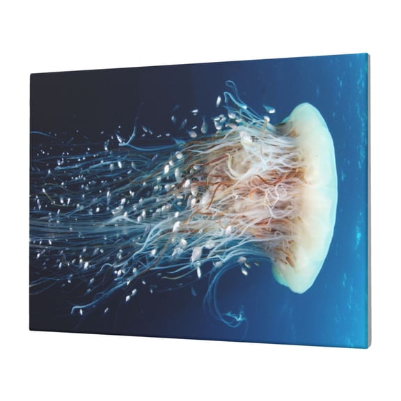 Naloa White Jellyfish Dansing in the Ocean Print Canvas Picture,Wall Pictures, Modern Decorative Poster,Art Prints for Bedroom, Toilet, 40 x 30 cm, Built-in Wooden Frame