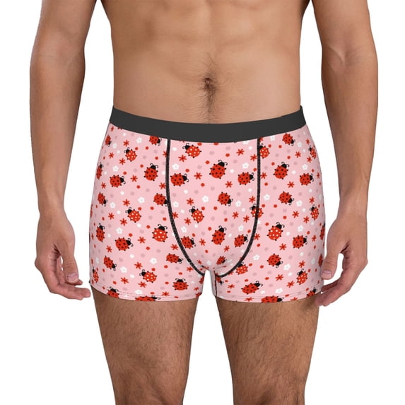 Naloa flowers and ladybugs Men's Boxer Briefs,Soft and Breathable Cotton Underwear with ComfortFlex Waistband-XX-Large